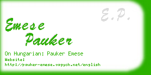 emese pauker business card